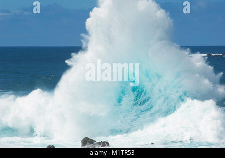 Große Welle bricht über ein Riff - Johannes Gollop Stockfoto