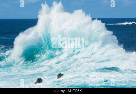 Große Welle bricht über ein Riff - Johannes Gollop Stockfoto
