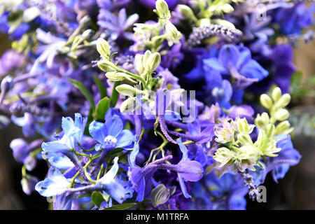 Blau und lila Blumen in einer großen Hochzeit Bouquet Stockfoto