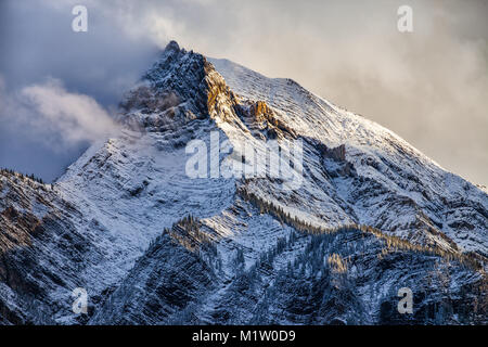 Frischer Schnee auf der sonnenbeschienenen Berggipfel in den kanadischen Rockies, Britisch Kolumbien, Kanada nach einem Schneesturm. Stockfoto