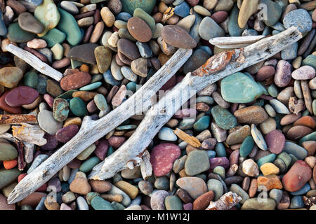 Driftwood Zweige an einem Strand von bunten Kiesel und Steine Stockfoto