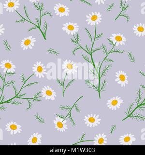 Daisy Flowers. Nahtlose Muster. Vector Illustration. Stock Vektor