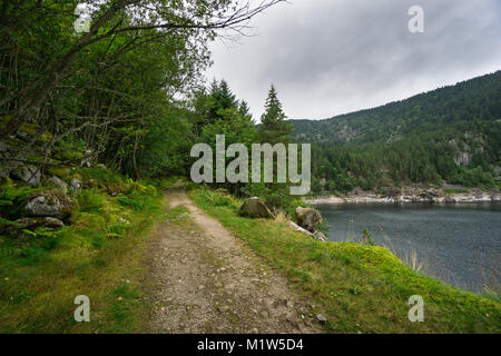 Frankreich - Wanderweg durch den Wald am See in den französischen Vogesen genannt Lac Noir Stockfoto