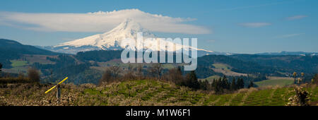 Blühende Apfelwiesen und Mount Hood, Hood River Valley, Oregon Stockfoto