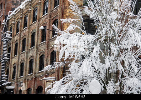 Portland, Oregon, nach schweren Winter Schneesturm Stockfoto