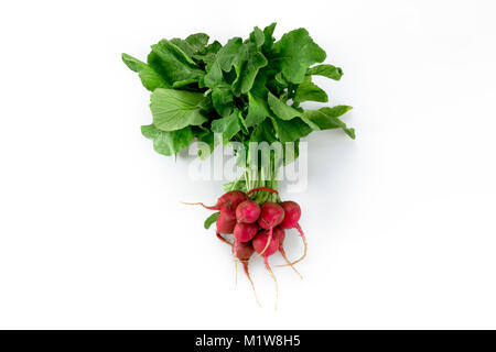 Gebündelte frische organische roten Rettich Gemüse in weißem Hintergrund Stockfoto