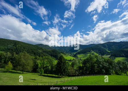 Breite schönen unberührten Landschaft des Schwarzwalds in der Nähe von Freiburg in Deutschland Stockfoto