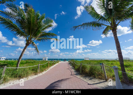USA, Florida, Pfad zu den weißen Sand von Miami Beach zwischen zwei Palmen Stockfoto