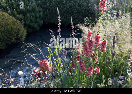 Die BBC Radio 2 Jeremy Vine Textur Garten, RHS Chelsea Flower Show 2017 Stockfoto