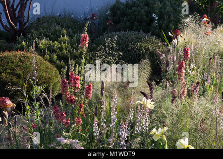 Die BBC Radio 2 Jeremy Vine Textur Garten, RHS Chelsea Flower Show 2017 Stockfoto