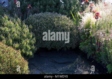 Die BBC Radio 2 Jeremy Vine Textur Garten, RHS Chelsea Flower Show 2017 Stockfoto