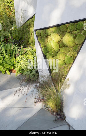 Die BBC Radio 2 Jeremy Vine Textur Garten, RHS Chelsea Flower Show 2017 Stockfoto