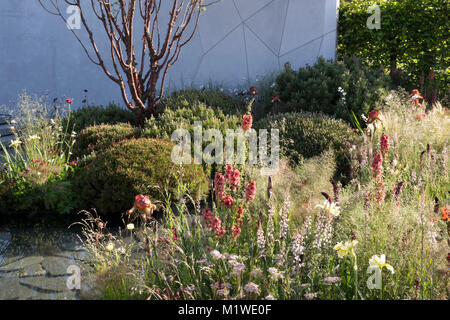 Die BBC Radio 2 Jeremy Vine Textur Garten, RHS Chelsea Flower Show 2017 Stockfoto