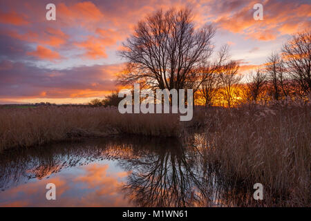 Barton-upon-Humber, North Lincolnshire, Großbritannien. 2. Februar 2018. UK Wetter: einen wunderschönen Sonnenuntergang am fernen Ings National Nature Reserve auf Welt Feuchtgebiet Tag 2018. Weit Ings ist ein Lincolnshire Wildlife Trust Naturschutzgebiet am Barton-upon-Humber, North Lincolnshire, Großbritannien. 2. Februar 2018. Quelle: LEE BEEL/Alamy leben Nachrichten Stockfoto