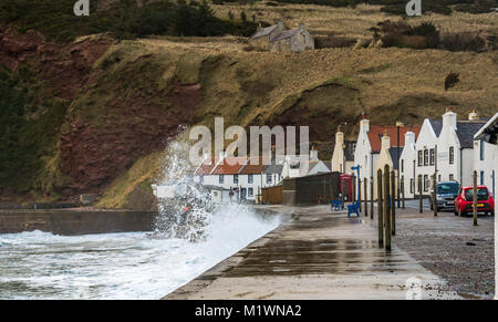 Pennan, Aberdeenshire, Schottland, Großbritannien, 2. Februar 2018. Die starken Winde erzeugen eine Welle in der Nordsee entlang der Nordostküste Schottlands, mit großen Wellen, die gegen die Promenade vor dem Pennan Inn in dem malerischen Dorf plätschern, berühmt als Drehort für den Film "Local Hero" Stockfoto