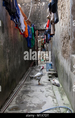 Straßenszene in Stone Town, Sansibar, Tansania, einem beliebten Reiseziel mit seinen interessanten arabischen und asiatischen Stein Architektur Stockfoto