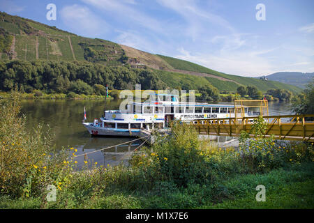 Ausflug Schiff an der Anlegestelle, Leiwen, Mosel, Rheinland-Pfalz, Deutschland, Europa Stockfoto