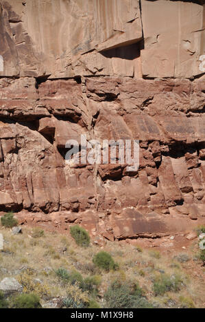 Sandstein klastische Deich aus dem Perm Coconino Sandstein in die zugrunde liegenden Einsiedler Schiefer injiziert, Bright Angel Trail, Grand Canyon National Park Stockfoto