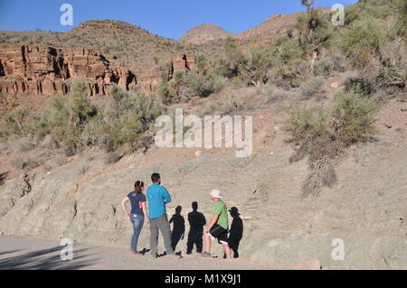 Geologen und Studenten Prüfung Belichtungen des Präkambriums und Cambrian Felsen in Peach Springs Canyon, Grand Canyon, AZ, USA ausgesetzt Stockfoto