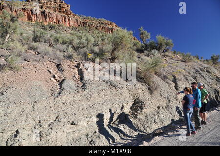 Geologen und Studenten Prüfung Belichtungen des Präkambriums und Cambrian Felsen in Peach Springs Canyon, Grand Canyon, AZ, USA ausgesetzt Stockfoto