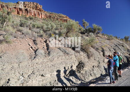 Geologen und Studenten Prüfung Belichtungen des Präkambriums und Cambrian Felsen in Peach Springs Canyon, Grand Canyon, AZ, USA ausgesetzt Stockfoto