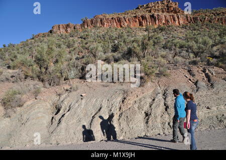 Geologen und Studenten Prüfung Belichtungen des Präkambriums und Cambrian Felsen in Peach Springs Canyon, Grand Canyon, AZ, USA ausgesetzt Stockfoto