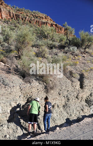 Geologen und Studenten Prüfung Belichtungen des Präkambriums und Cambrian Felsen in Peach Springs Canyon, Grand Canyon, AZ, USA ausgesetzt Stockfoto