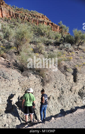 Geologen und Studenten Prüfung Belichtungen des Präkambriums und Cambrian Felsen in Peach Springs Canyon, Grand Canyon, AZ, USA ausgesetzt Stockfoto