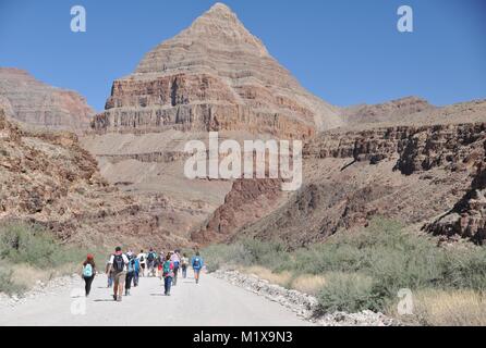 Geologen und Studenten Prüfung Belichtungen des Präkambriums und Cambrian Felsen in Peach Springs Canyon, Grand Canyon, AZ, USA ausgesetzt Stockfoto