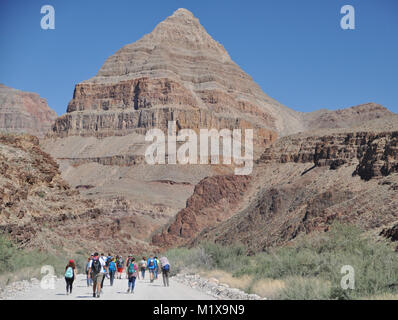 Geologen und Studenten Prüfung Belichtungen des Präkambriums und Cambrian Felsen in Peach Springs Canyon, Grand Canyon, AZ, USA ausgesetzt Stockfoto