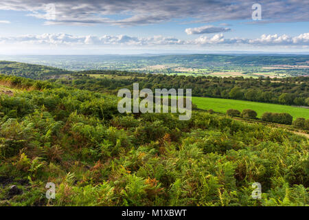 Bracken on Black Down in der Mendip Hills National Landscape im frühen Herbst mit dem Yeo Valley Beyond, Somerset, England. Stockfoto