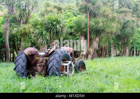 Fordson Power Major Traktor, Glenburn, Wairarapa, Neuseeland Stockfoto