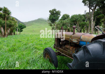 Fordson Power Major Traktor, Glenburn, Wairarapa, Neuseeland Stockfoto