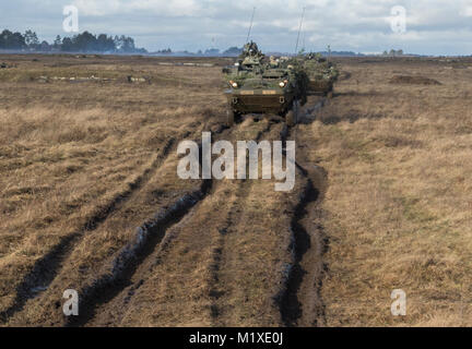 Us-Soldaten von Kronos Truppe, 3 Staffel, 2. Kavallerie Regiments, fahren ihre strykers auf ihre Position, wie sie in einem montiert NATO live fire Übung von der Polnischen 1. Bataillon 15 mechanisierte Brigade in einem Bereich in der Nähe der Bemowo Piskie, Polen, Jan. 30, 2018 koordinierte teilnehmen. Die einzigartige, multinationalen Battle Group, bestehend aus USA, Großbritannien, Kroatischen und Rumänische Soldaten dienen, die mit der polnischen 15 mechanisierte Brigade als Abschreckung Kraft im Nordosten Polens in der Unterstützung der NATO-Präsenz verstärkt nach vorne. (U.S. Armee Stockfoto