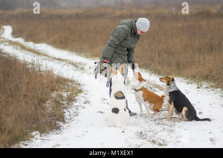 Reife Frau bis Fütterung ihre drei Hunde spielen im Freien im Winter Stockfoto