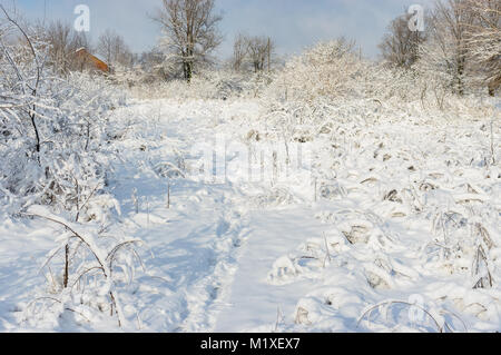 Winterlandschaft mit Pfad zu Hause in den tiefen und den frischen Schnee Stockfoto