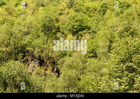 Die schiltal von Hunedoara Grafschaft Rumänien, zwischen den Retezat und die Parang Berge. Stockfoto