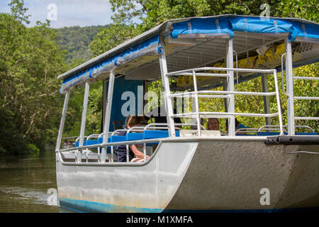 Daintree River Bootsfahrt auf dem Fluss im Daintree National Park, Far North Queensland, Australien Stockfoto