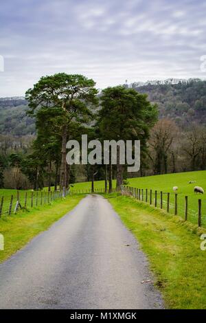 Gerade Straße Weg durch Felder, Bäume Stockfoto