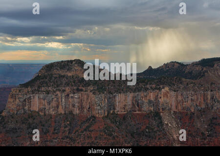 Ein Sturm nähert sich der North Rim des Grand Canyon. Arizona, USA Stockfoto
