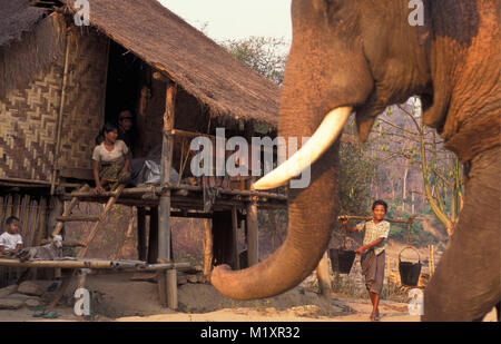 Myanmar (Birma). Bago (Pegu) Yoma Berge. Elefanten, die Lager und das Dorf für den Transport von Baumstämmen. Stockfoto