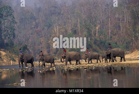 Myanmar (Birma). Bago (Pegu) Yoma Berge. Elefanten, die Lager und das Dorf für den Transport von Baumstämmen. Stockfoto