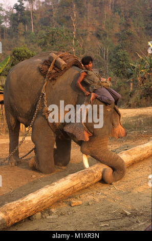 Myanmar (Birma). Bago (Pegu) Yoma Berge. Elefanten, die Lager und das Dorf für den Transport von Baumstämmen. Stockfoto