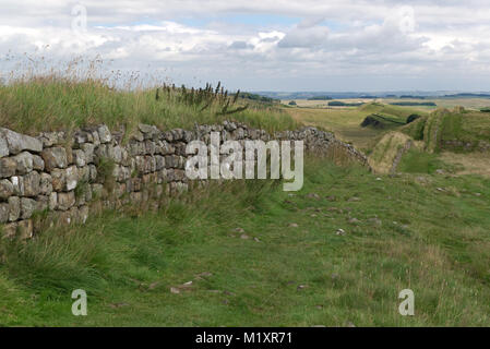 Blick entlang der Hadrianswall. Landschaft Landschaft mit Bäumen, Pflanzen und dramatischen Himmel mit alten Steinmauer als führende Linie Stockfoto
