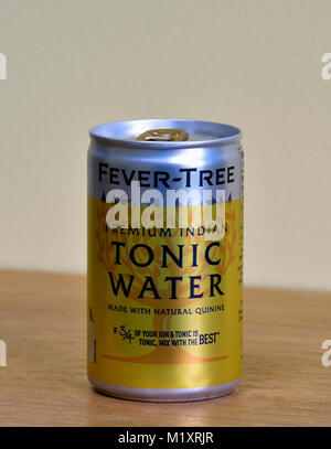 Kann von Fieber - Tree Premium Indian Tonic Water. Mit natürlichen Chinin gemacht. Wenn 3/4 der Gin und Tonic Tonic ist, sind die Mix mit den Besten. Stockfoto