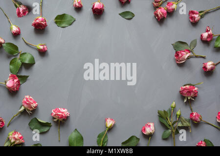Florales Muster aus rosa Busch Rosen, grüne Blätter auf grauem Hintergrund. Flach, Ansicht von oben. Valentinstag Hintergrund. Floralen Muster. Muster der Blume Stockfoto