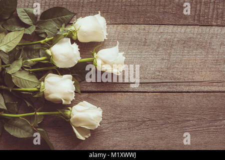 Weich ausgewachsenen weißen Rosen als neutraler Hintergrund auf Holzbrett. Getönten Bild. Ansicht von oben. Stockfoto
