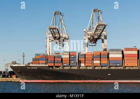 ROTTERDAM, Niederlande - 28 November, 2016: Das containerschiff NYK Orion der NYK Line auf der ECT-Terminal im Hafen von Rotterdam festgemacht, Die Stockfoto