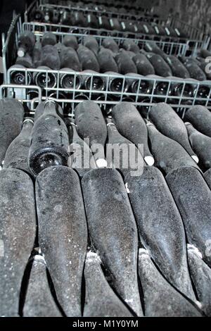 Flaschen Wein im Keller, Tufo, Sorrento, Kampanien, Italien Stockfoto