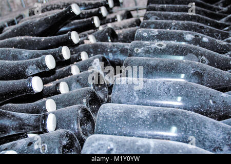 Flaschen Wein im Keller, Tufo, Sorrento, Kampanien, Italien Stockfoto